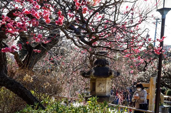 온라인 커뮤니티