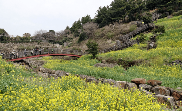 온라인 커뮤니티