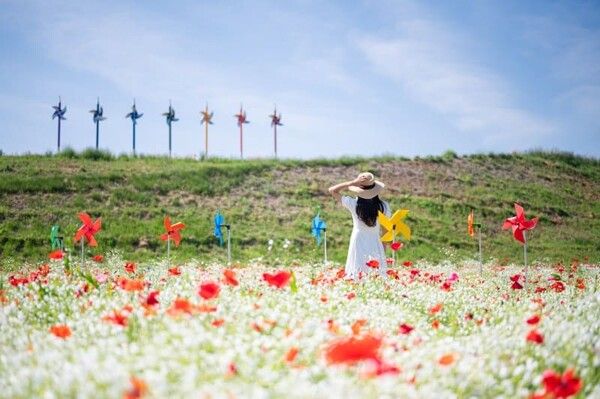 함안 가볼만한 곳 BEST 7 / 온라인 커뮤니티