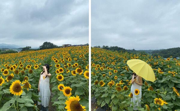 함안 가볼만한 곳 BEST 7 /&nbsp;@____zero.g