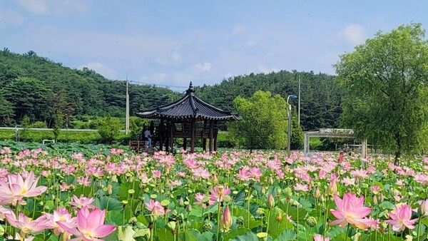 함안 가볼만한 곳 BEST 7 / 온라인 커뮤니티