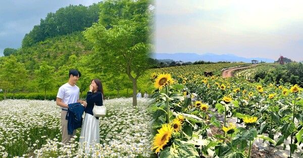 함안 가볼만한 곳 BEST 7 /&nbsp;@s.zzini_