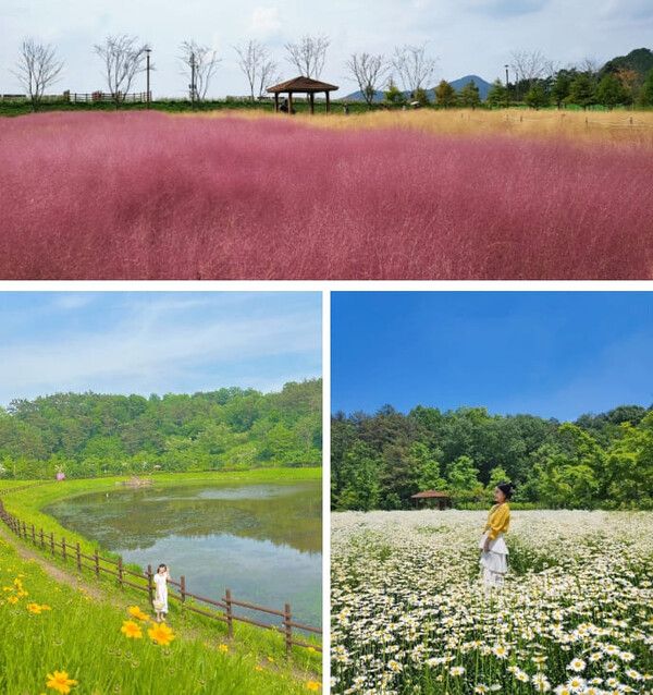 함안 가볼만한 곳 BEST 7 /&nbsp;@yeon201 /&nbsp;@j__.yj