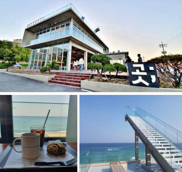 온라인 커뮤니티