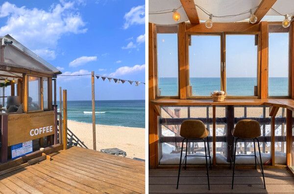 온라인 커뮤니티