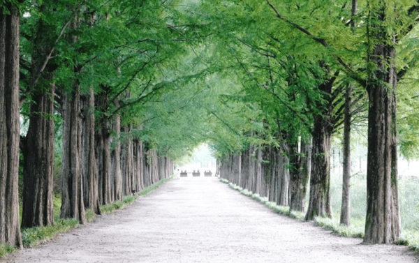 사진=온라인 커뮤니티