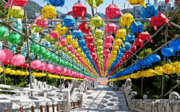 사진=온라인 커뮤니티