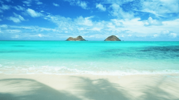 사진=온라인 커뮤니티