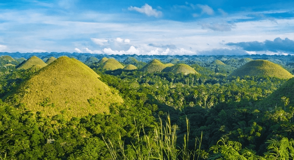 사진=온라인 커뮤니티