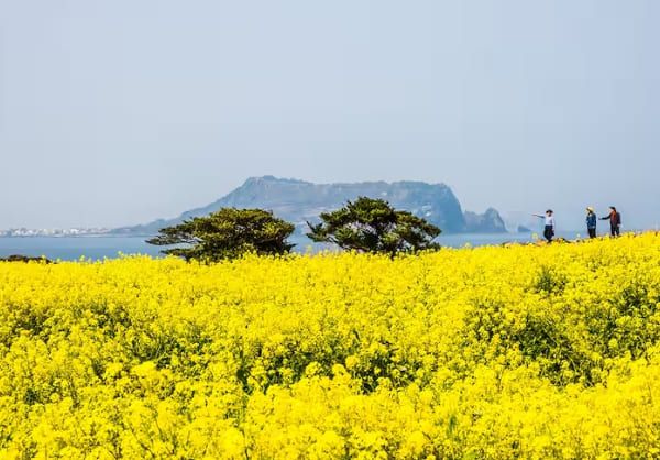 5월 가족여행 가기 좋은 국내 여행지 추천 / 온라인 커뮤니티