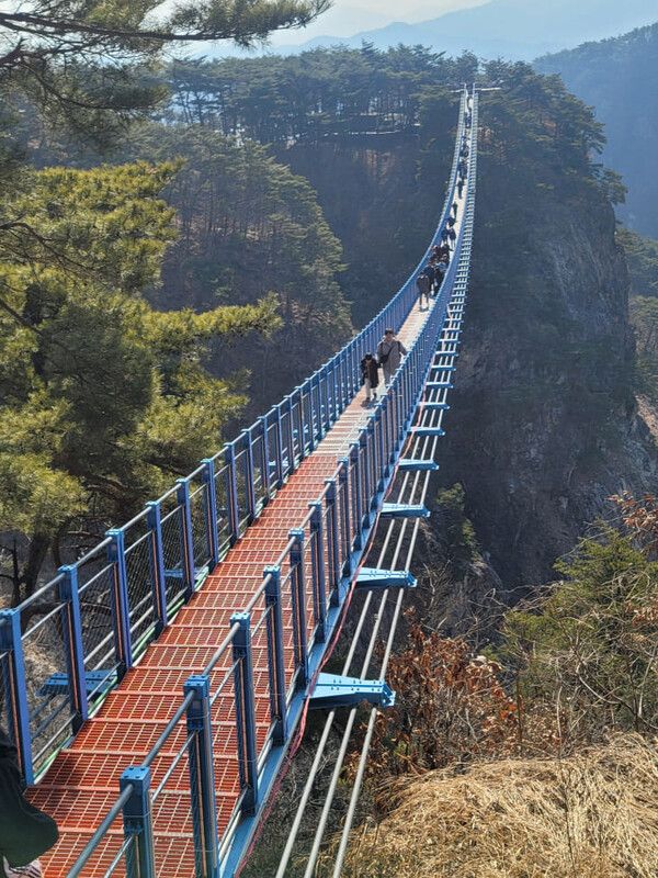 5월 가족여행 가기 좋은 국내 여행지 추천 / 온라인 커뮤니티