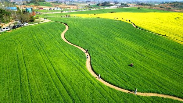 5월 가족여행 가기 좋은 국내 여행지 추천 / 온라인 커뮤니티