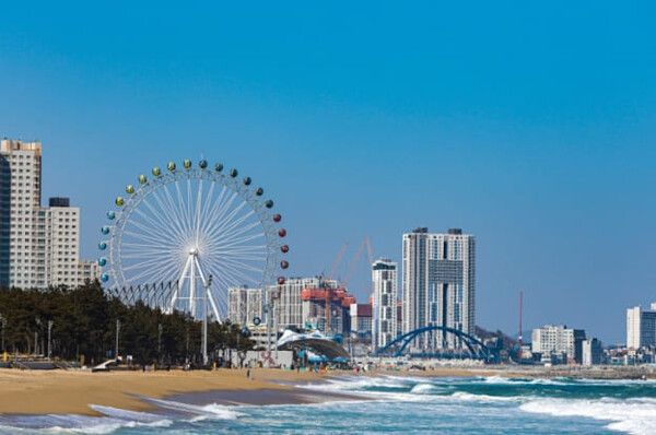 5월 가족여행 가기 좋은 국내 여행지 추천 / 온라인 커뮤니티