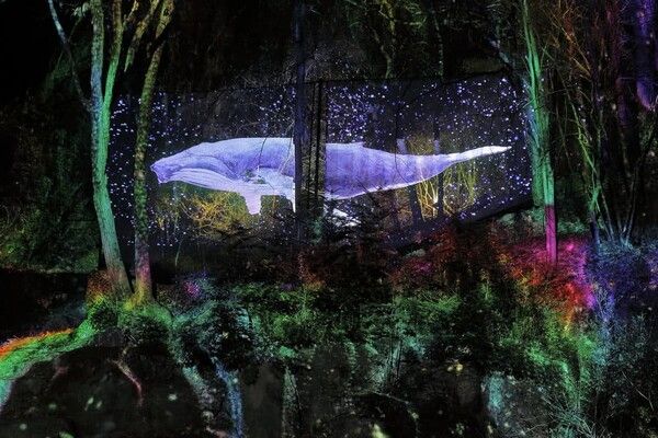 5월 가족여행 가기 좋은 국내 여행지 추천 / 온라인 커뮤니티