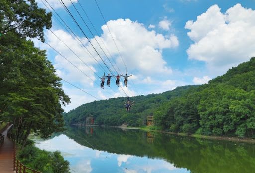 온라인 커뮤니티