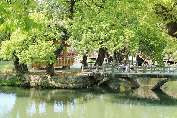 온라인 커뮤니티