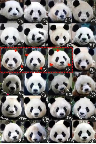 온라인 커뮤니티