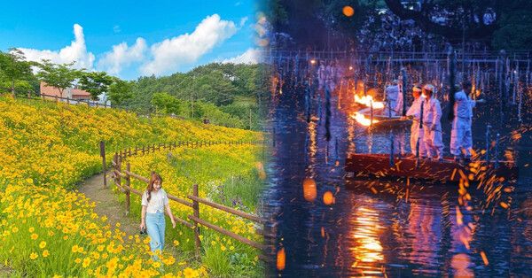 온라인 커뮤니티