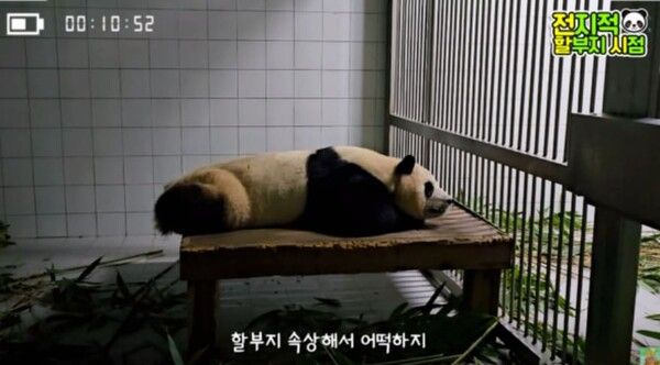 애버랜드 유튜브