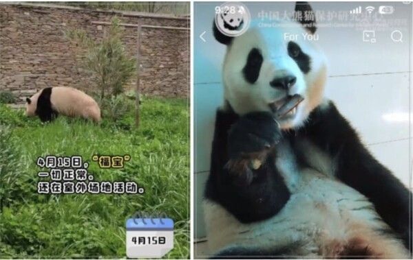 웨이보