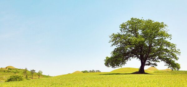 온라인 커뮤니티