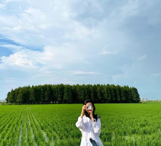 온라인 커뮤니티