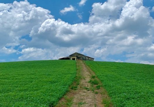 온라인 커뮤니티