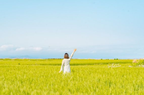 온라인 커뮤니티