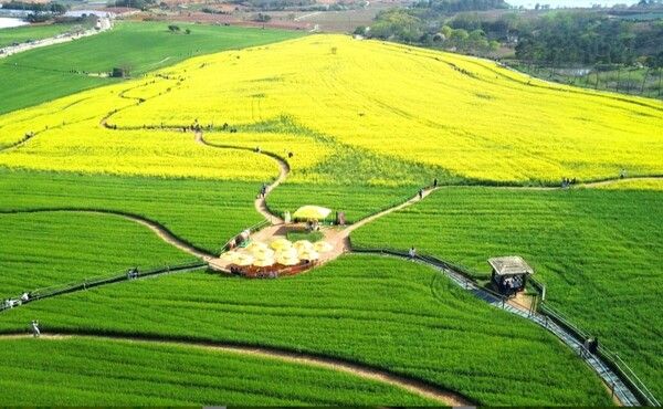 온라인 커뮤니티