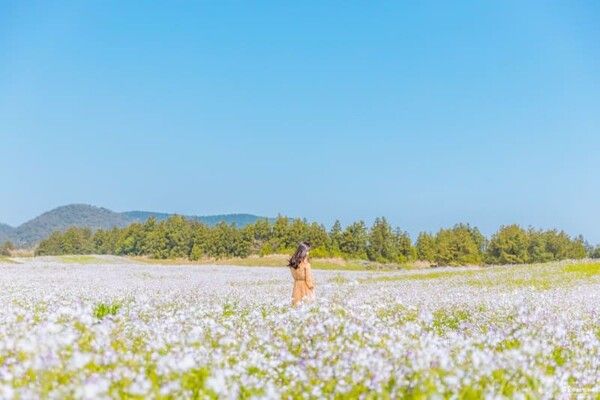 제주도 셀프 웨딩촬영 명소 / 온라인 커뮤니티