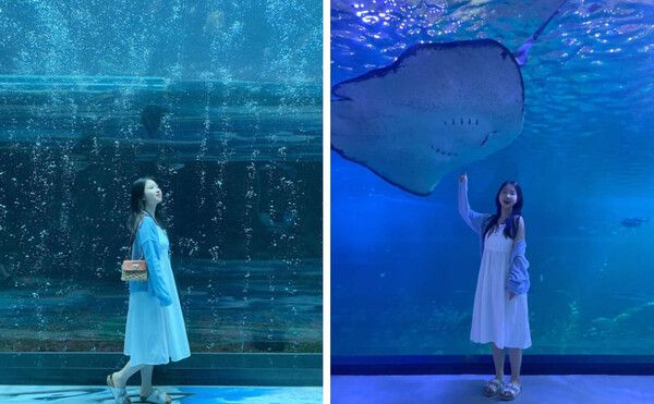 2024년 어린이날 행사 총정리 / @soyeonilkook