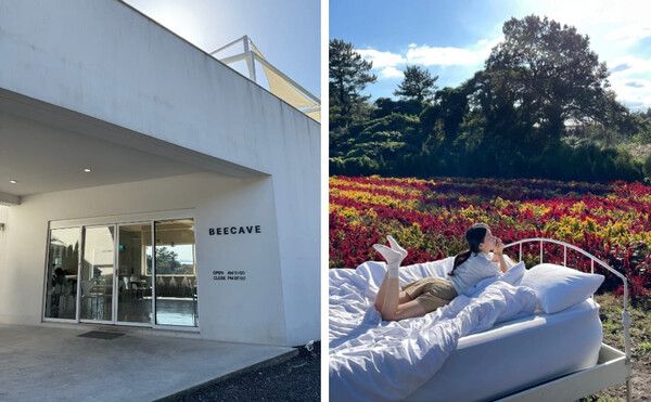 제주도 셀프 웨딩촬영 명소 / 온라인 커뮤니티