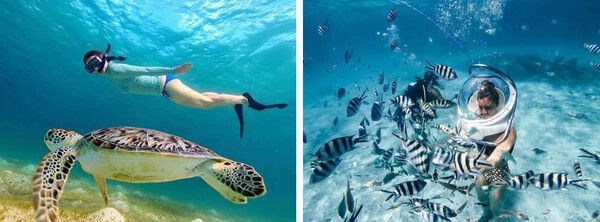 발리 여행에서 즐길만한 것 총정리 / 온라인 커뮤니티