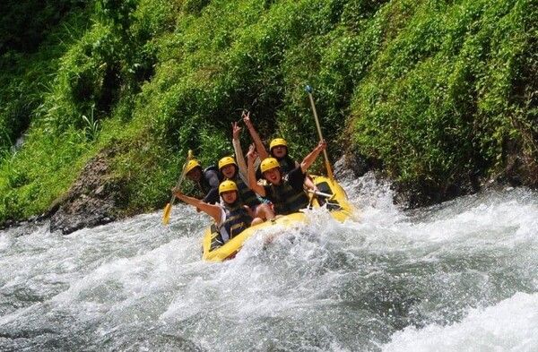 발리 여행에서 즐길만한 것 총정리 / 온라인 커뮤니티