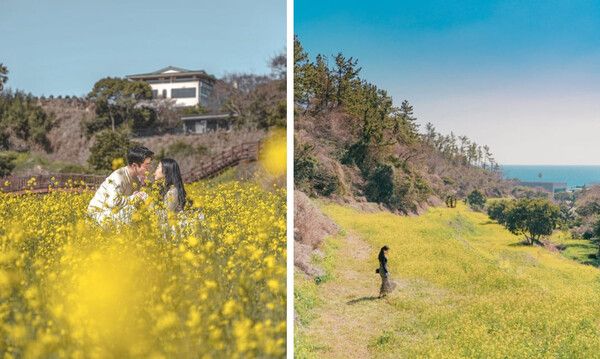 제주도 셀프 웨딩촬영 명소 / 온라인 커뮤니티