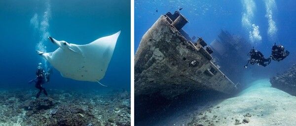 &nbsp;발리 여행에서 즐길만한 것 총정리 / 온라인 커뮤니티