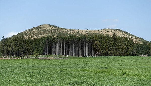 제주도 셀프 웨딩촬영 명소 / 온라인 커뮤니티