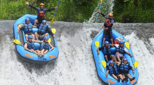 발리 여행에서 즐길만한 것 총정리 / 온라인 커뮤니티