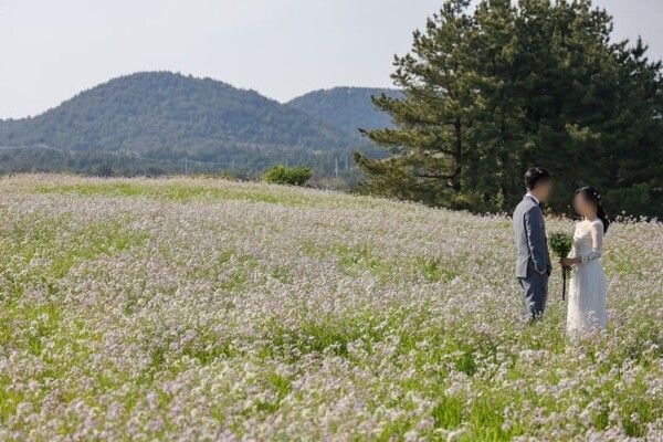 제주도 셀프 웨딩촬영 명소 / 온라인 커뮤니티