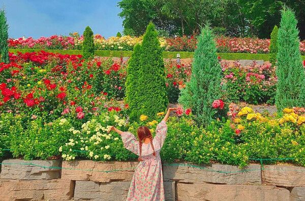 온라인 커뮤니티