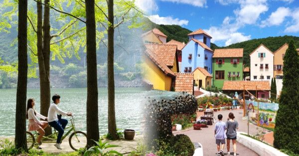 온라인 커뮤니티