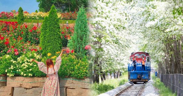 온라인 커뮤니티