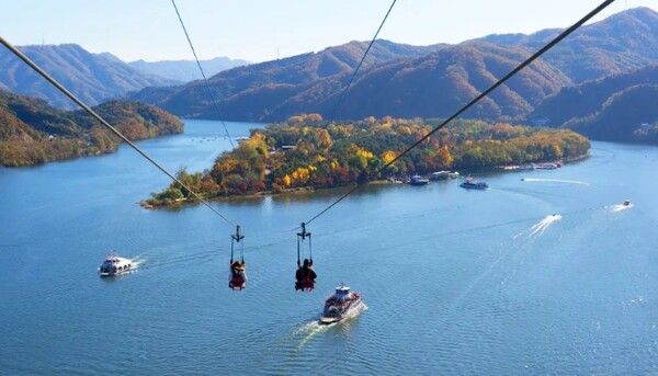 온라인 커뮤니티