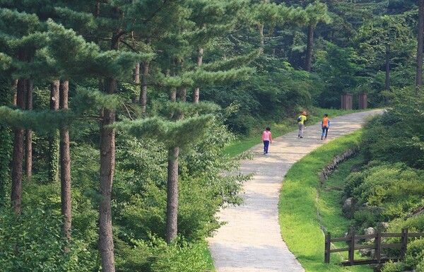 온라인 커뮤니티