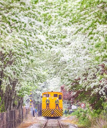 온라인 커뮤니티