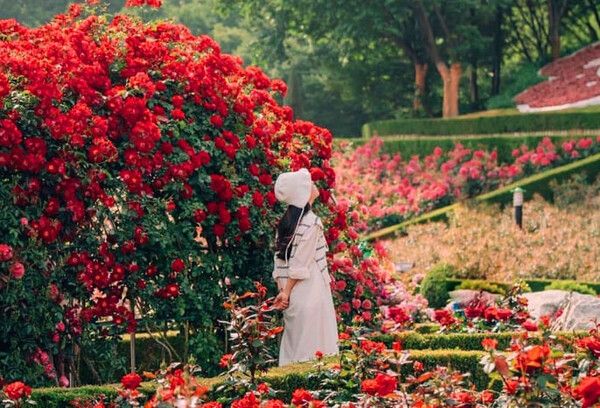 온라인 커뮤니티