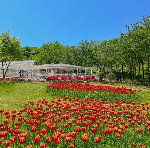 온라인 커뮤니티