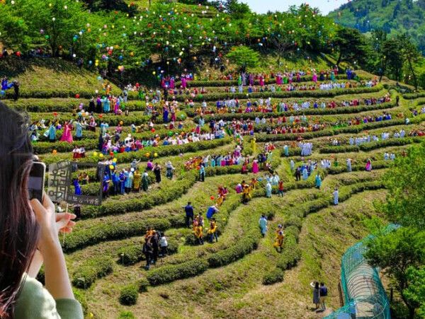 온라인 커뮤니티