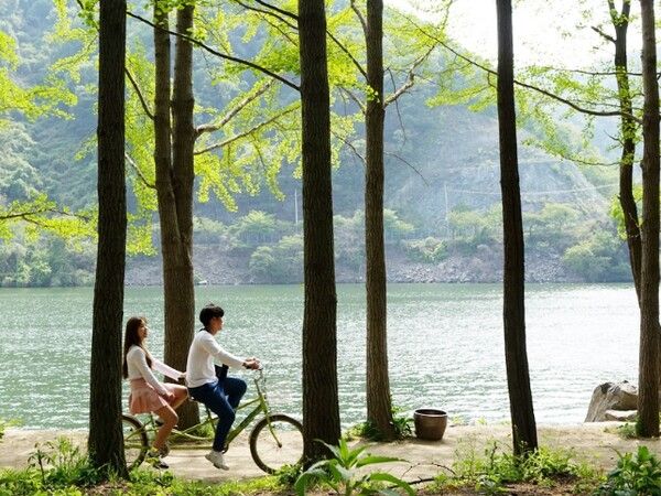 온라인 커뮤니티