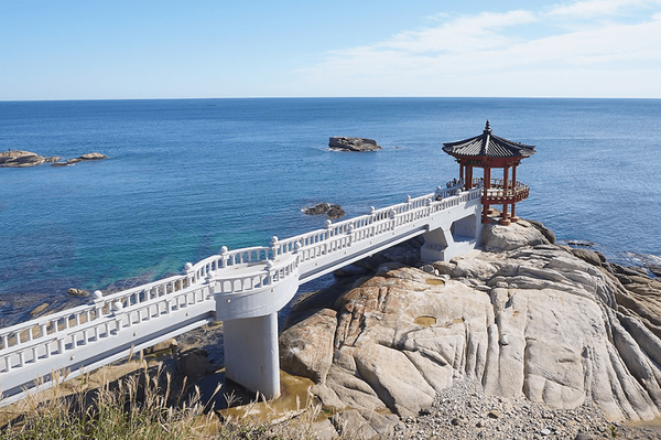 사진=온라인 커뮤니티